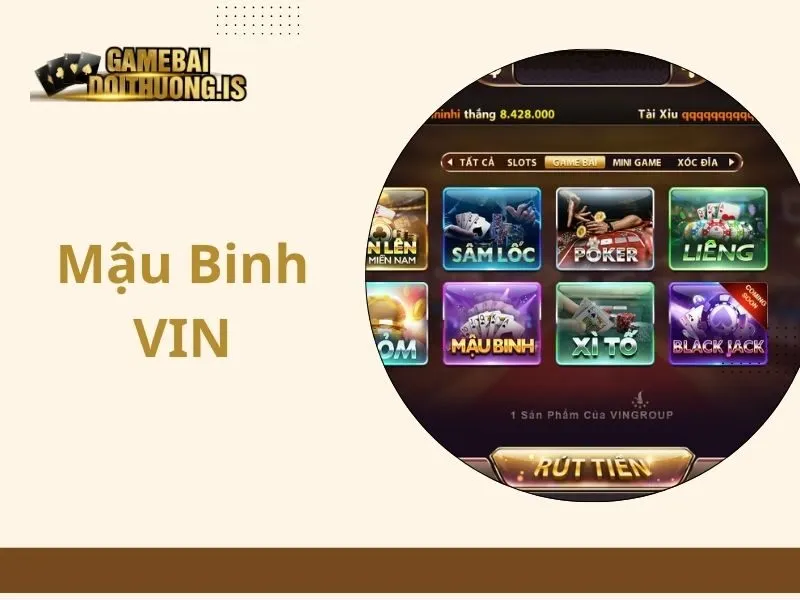 Mậu Binh VIN