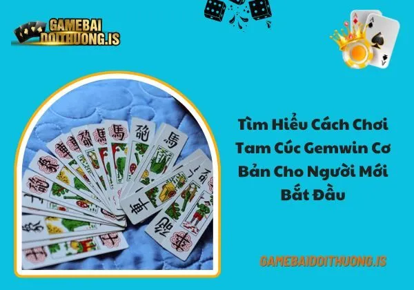 tam cúc gemwin