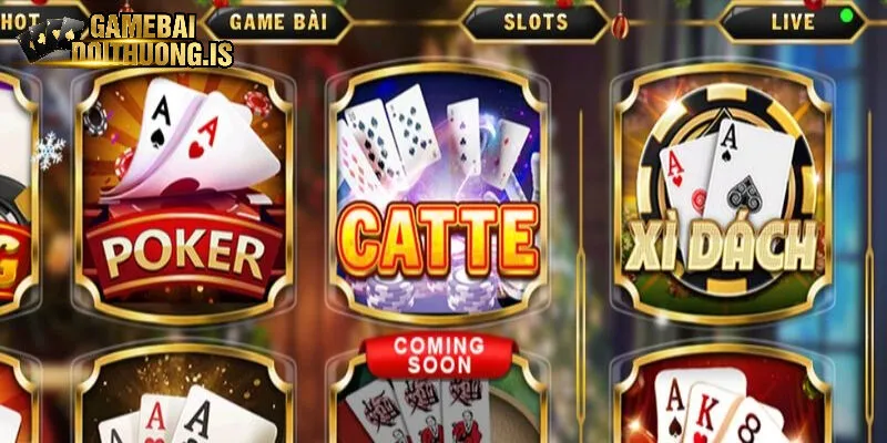 Catte Go88